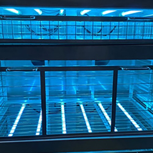 Gold Egg Product Container Sterilization